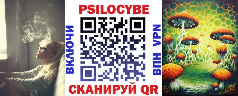 Псилоцибиновые грибы Psilocybe  кракен как зайти  Велиж 